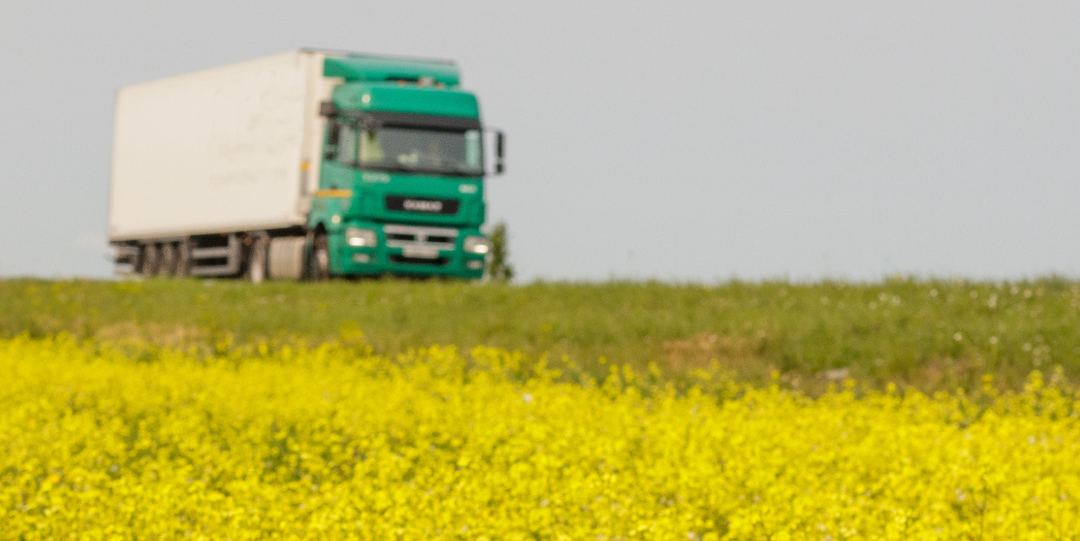 O Biodiesel no combustível é seguro?