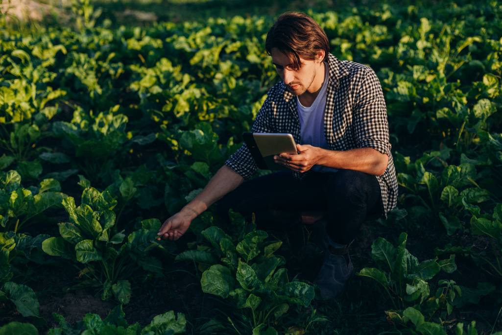 Agronegócio: tendências para o segundo semestre de 2022