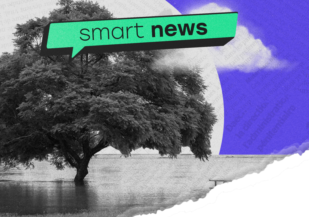 Smart News – Boletim semanal