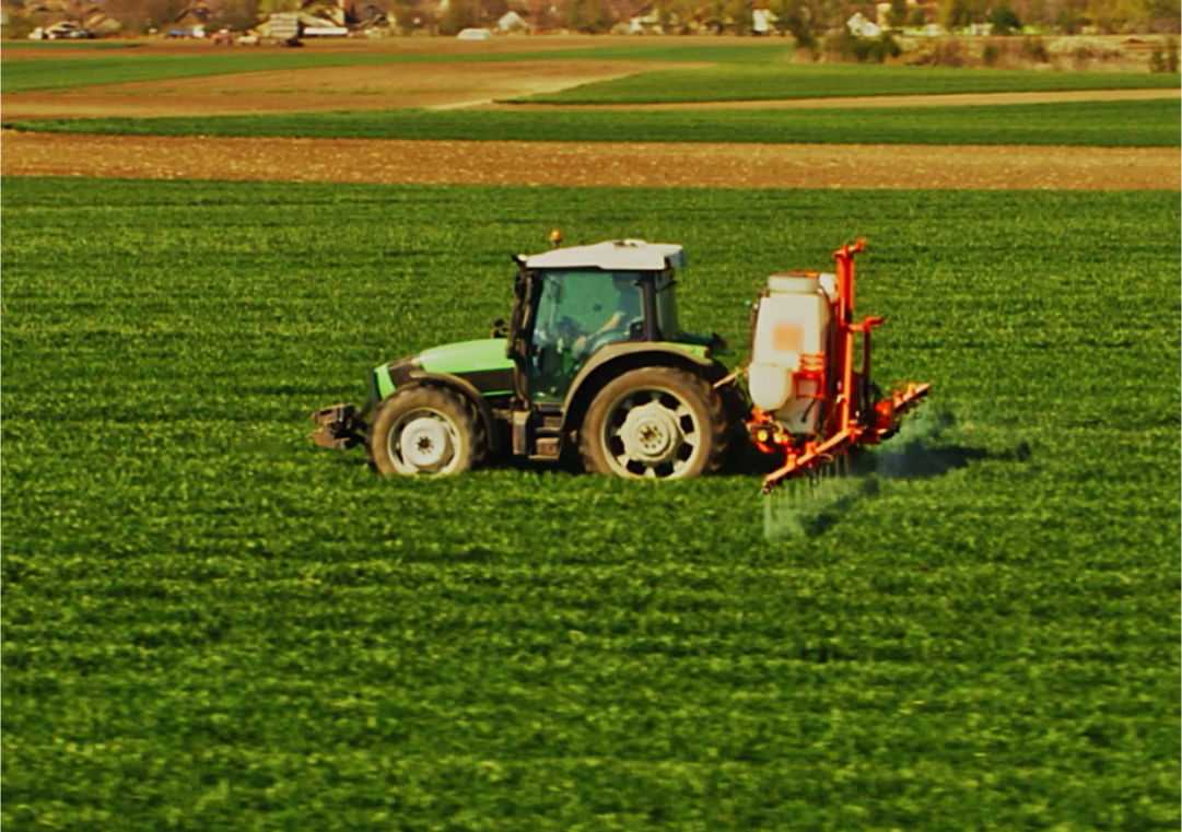 Calendário Agrícola: veja as melhores épocas para o plantio