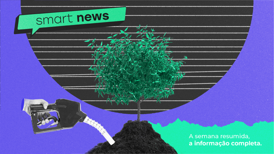 Smart News – Boletim semanal
