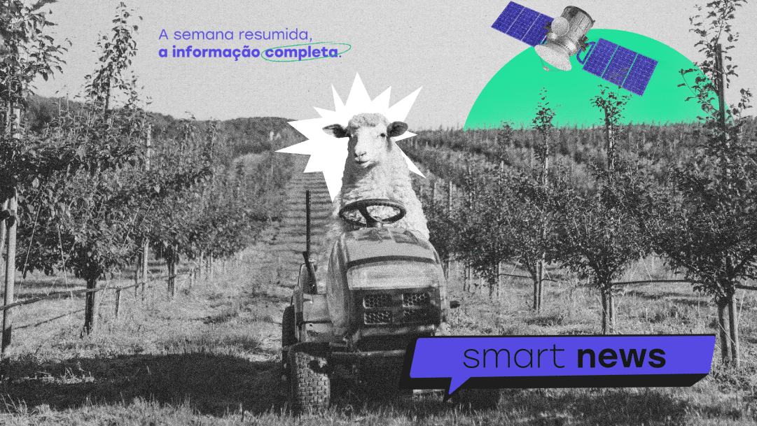 Smart News – Boletim semanal Smart News – Boletim semanal