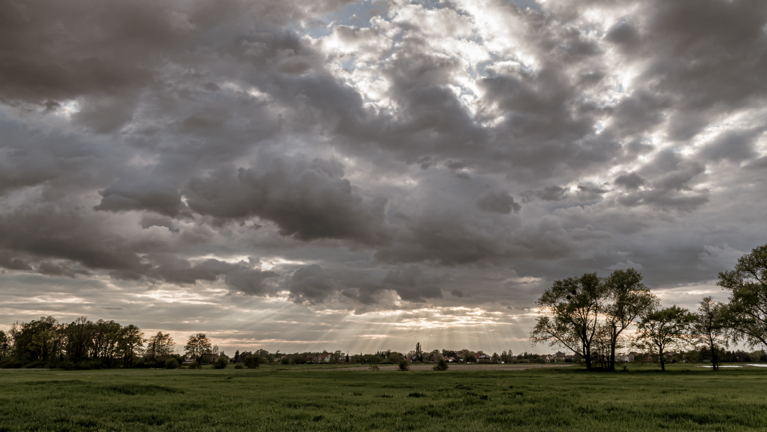 El Niño na agricultura: quais os impactos?